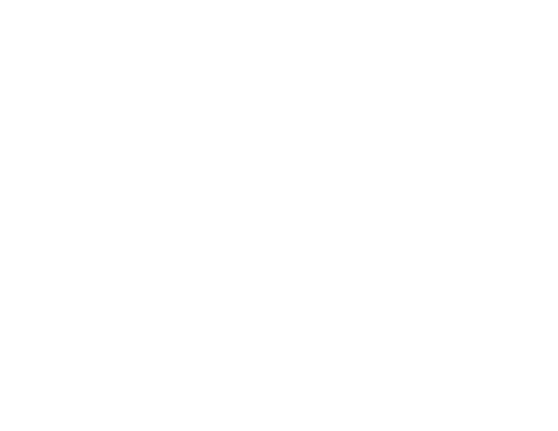 Providence Pointe White Logo